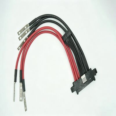 24A New Energy Power Connector Module with Cable Assembly For Industrial Vehicle Electronics